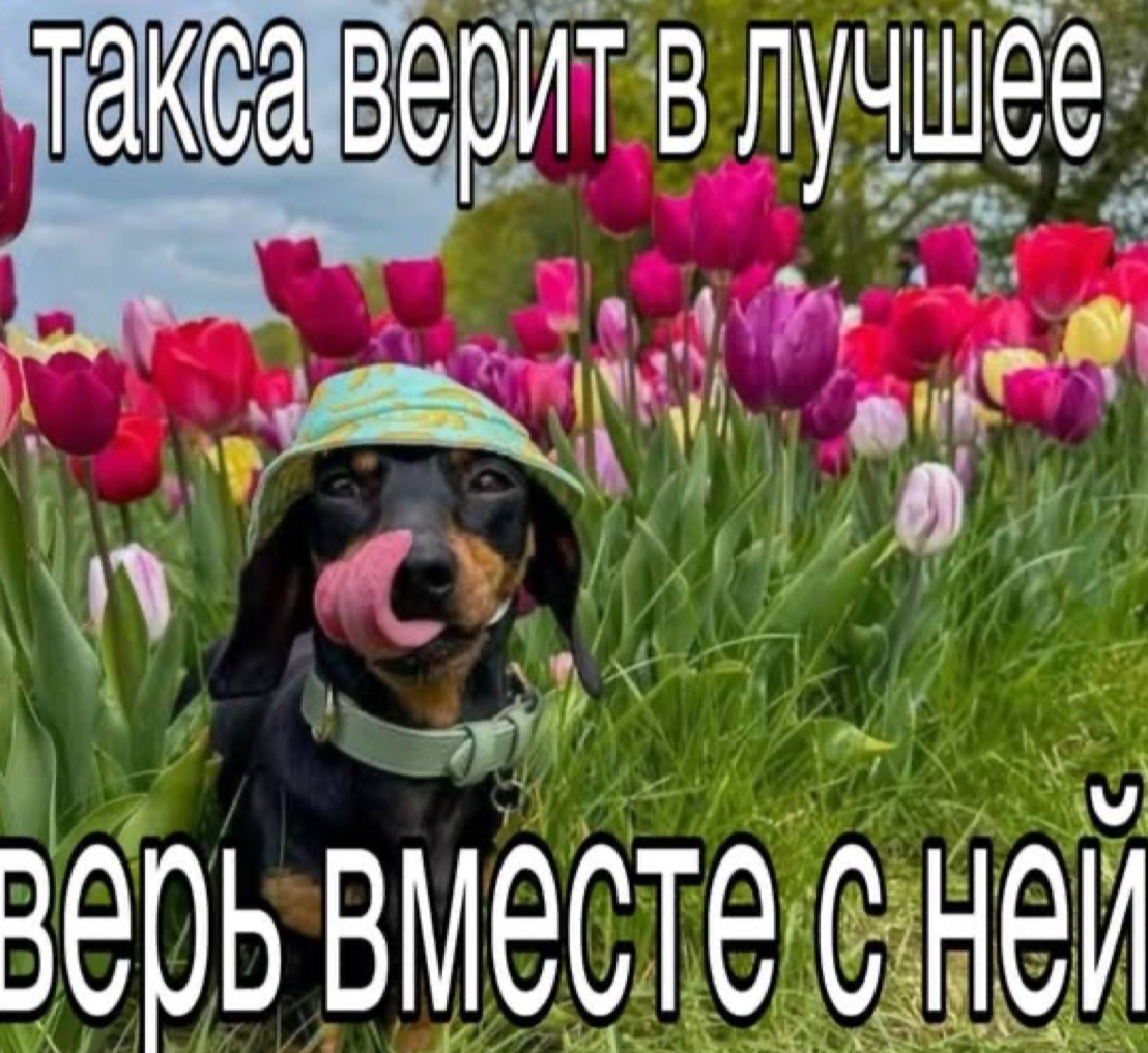 Фото поста